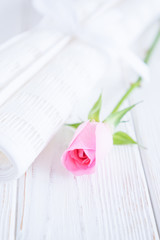 Two rolls of white fabric and pink rose on a white background. Free space