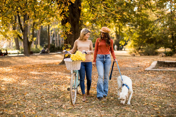 Two female friends walking in the autumn park with dog and bicycle