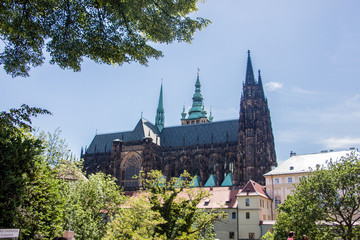 Fototapeta premium Prager Burg