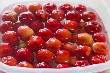 red cherries in a bowl
