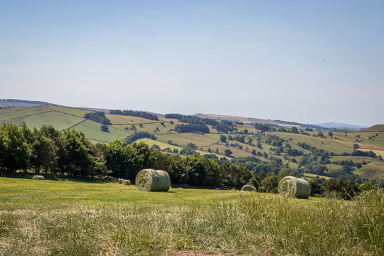 rollos de heno en campos de escocia