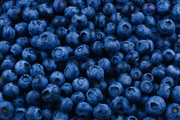 Fresh blueberry background. Texture blueberry berries close up.