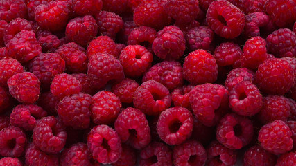 Fresh raspberries background.  Closeup photo, top view.