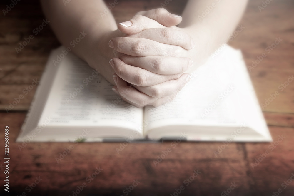 Wall mural Woman Praying with Her Hands Folded over Her Bible