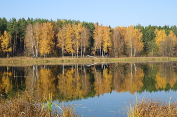 Beautiful autumn landscape with a river