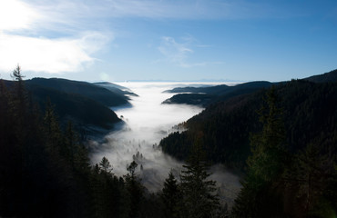 Fog in the black forest, Nebel im Schwarzwald