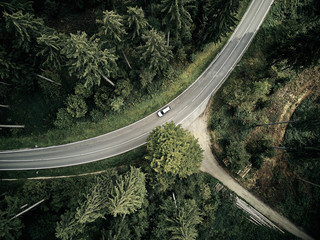 street between large trees from top with drone aerial view, landscape, autumn