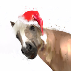 Christmas Pony - 229590218