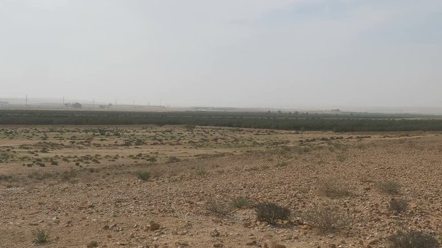 Wery wide panorama of desert Negev at winter