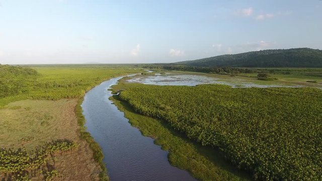 Kaw swamp/marsh wetlands and a floating savannah in French Guiana. Drone view 