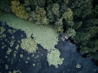 small wooden house between trees and a lake