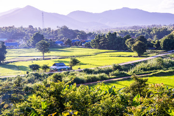 Rice field in Muang Pan district of Lampang province