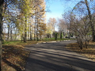 autumn sunny day in the city park