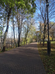 autumn sunny day in the city park