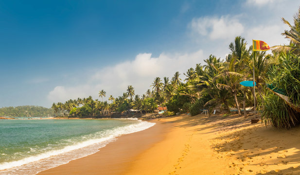 Paradise Mirissa beach in Sri Lanka. Yellow sand and palm trees with blue sky and Flag of Sri Lanka