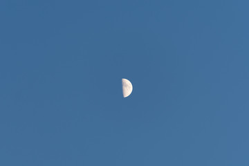 Blue Moon