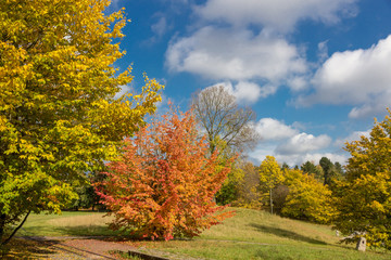 Fototapeta premium Herbst