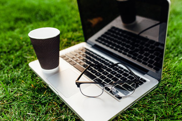 Laptop with blank screen on green grass. coffee and glasses. Office and workspace in the meadow