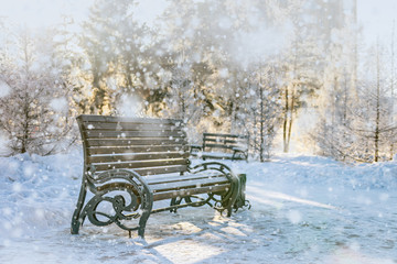 Falling snow. Pew in city Park. Fairy winter scene in park.