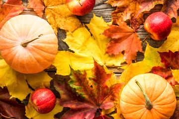 orange pumpkins with red apples autumn leaves on wooden background