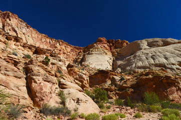 Fototapeta premium Beautiful views at Capitol reef national park
