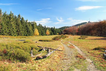 path for tourists leading through autumn landscape with meadow and forest, Beskydy mountains, Czech Republic