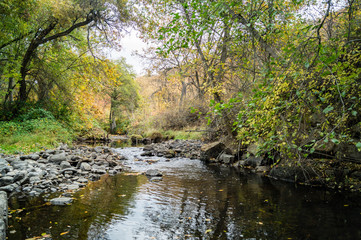 Fototapeta na wymiar Emigrant Creek near Ashland, Oregon, USA