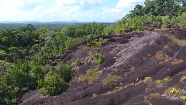 Savane roche virginie inselberg. Ecosystem in Guiana Rain forest by drone