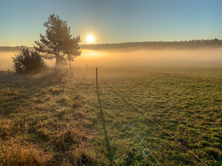 Morgenstimmung in Baden-Württemberg