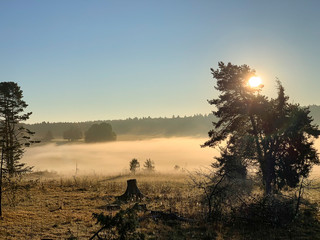 Morgennebel in Baden-Württemberg