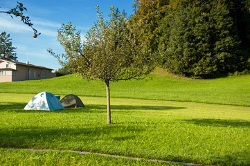 Namioty na zielonej łące pośród trawy i drzewa