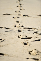 Fototapeta na wymiar Man footprints in the sand on a beach
