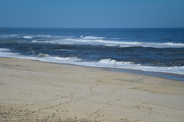 Sunny day scene at the beach on the shoreline of Atlantic Ocean