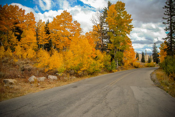 Fototapeta premium Fall Roads