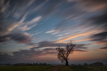 Fototapeta na wymiar Sunset a landscape with lonely tree and field and beautiful cloudy sky, Czech Republic