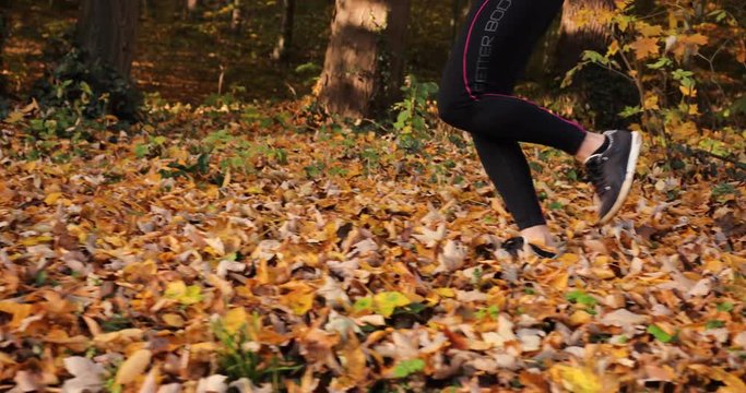 Female runner in an autumn park. Close-up of woman's legs in jogging suit and snickers running on the fallen leaves in a park