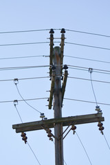 Utility Pole Transmission Lines