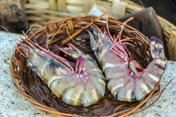 Fresh Shrimps/Prawns