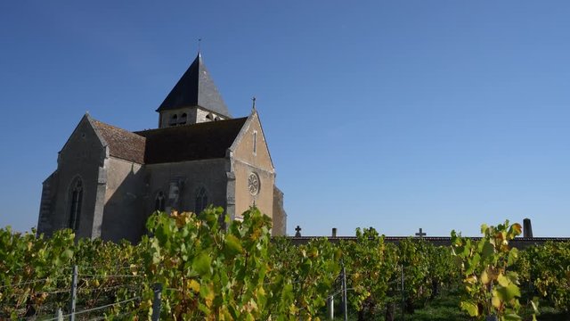 Chablis,France-October 16, 2018: Vineyard in Chablis, Bourgogne,France