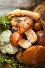 Forest picking mushrooms in a basket. Fresh raw mushrooms on wooden table