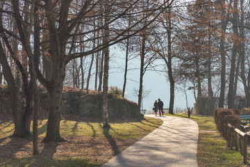 Senior couple walking through the forest to the lake