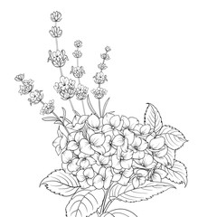 Floral garland of lavender and hydrangea isolated over white background. Spring bouquet of flowers in line sketch style. Vector illustration