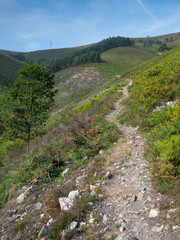 Fototapeta na wymiar Camino de Santiago trail between Pola de Allande and Grandas de Salime, Asturias, Spain