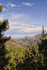 Spanish landscape in autumn with pine forests