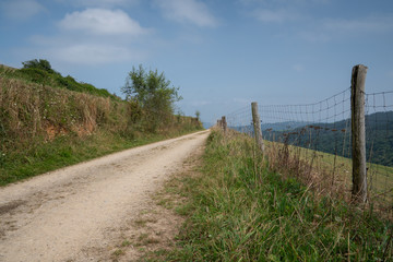 Fototapeta na wymiar Camino de Santiago trail between Tineo and Pola de Allande, Asturias, Spain