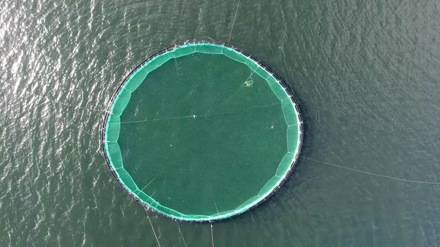 Aerial drone shot of a fishnet in Iceland. aquafarming, day time sunny. Vertical top view