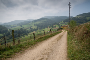 Fototapeta na wymiar Camino de Santiago trail between Tineo and Pola de Allande, Asturias, Spain