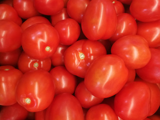 lots of red tomatoes. vegetable background. Tomato group
