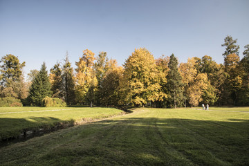 Fototapeta na wymiar autumn landscape with colorful trees, grass, small creek and clear sky