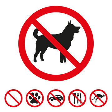 No dog sign on white background.